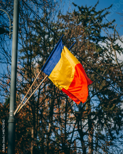 Fototapeta Naklejka Na Ścianę i Meble -  yellow and red flags