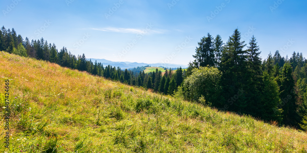 countryside summer landscape in mountains. beautiful nature scenery with forested hills and grassy hills. green outdoor environment beneath a blue sky at high noon countryside summer landscape in mountains. beautiful nature scenery with forested hills and grassy hills. green outdoor environment beneath a blue sky at high noon