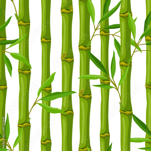Seamless pattern with green bamboo stems and leaves. Decorative exotic plants of tropic jungle.