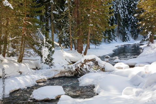 Stream flowing in forest in snowy winter season, Bolu - Turkey