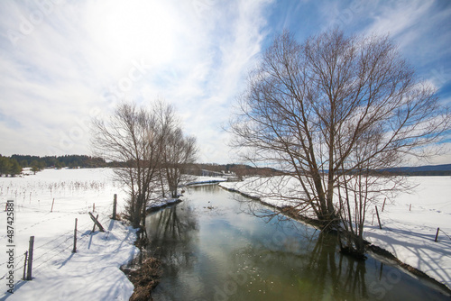 Stream flowing in forest in...