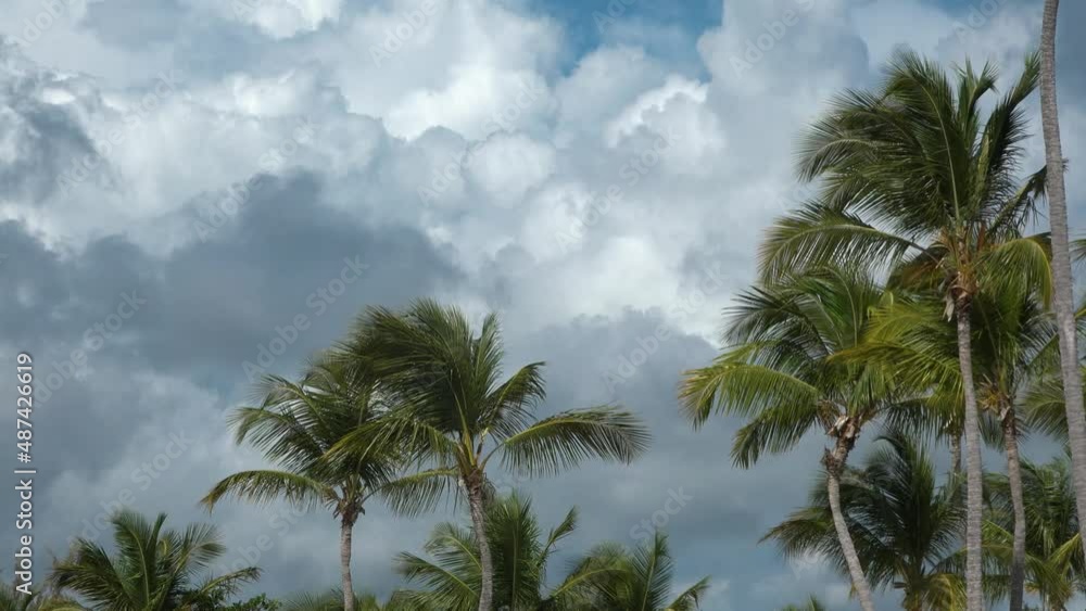 Panoramic view of a tropical beach with palm trees, turquoise waters and blue sky. Most beautiful beaches in the world. Crystal clear blue sea and white sand. Beach and sea and sky tropical paradise. Panoramic view of a tropical beach with palm trees, turquoise waters and blue sky. Most beautiful beaches in the world. Crystal clear blue sea and white sand. Beach and sea and sky tropical paradise.