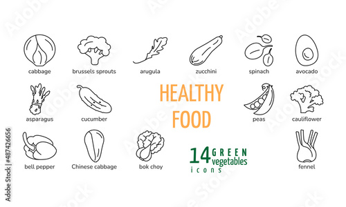 Black line icons set of green vegetables with cabbage zucchini spinach asparagus cucumber avocado peas arugula bock choy fennel brussels sprouts cauliflower healthy food isolated vector illustration
