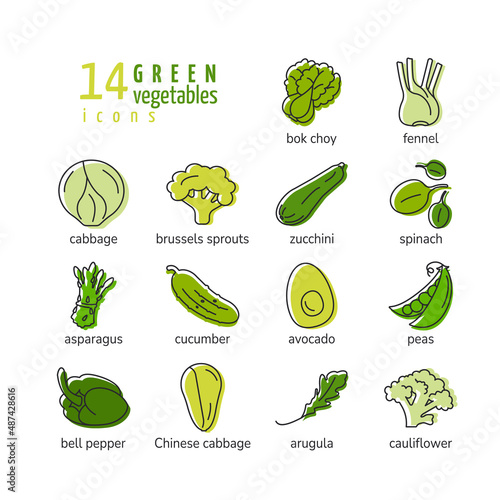 Green vegetables line icons set with cabbage zucchini spinach asparagus cucumber avocado peas arugula bock choy fennel brussels sprouts cauliflower healthy food isolated vector illustration