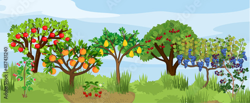 Landscape with different fruit trees and berry shrubs with ripe fruits on the branches. Harvest time