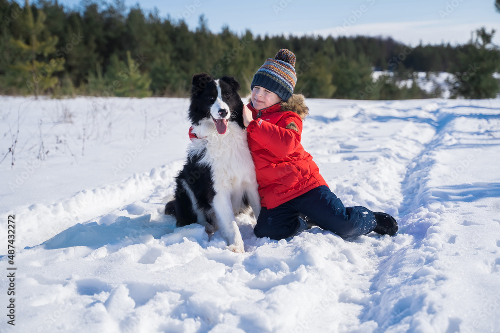Happy boy in a red jacket playing with a border collie outdoors against the backdrop of a winter forest. Love and friendship of a child and a dog. Pets and people. child hugging collie. Happy boy in a red jacket playing with a border collie outdoors against the backdrop of a winter forest. Love and friendship of a child and a dog. Pets and people. child hugging collie.