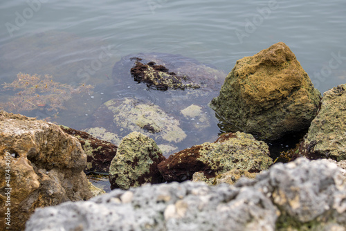 Rocks washed by the sea in Miami Beach