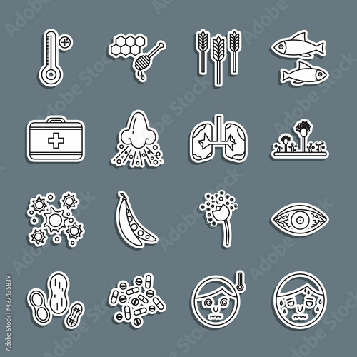 Set line Man with excessive sweating, Reddish eye allergic conjunctivitis, Mold, Wheat, Runny nose, First aid kit, Medical digital thermometer and Lungs icon. Vector