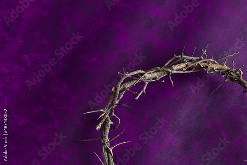 Obraz na płótnie Partial crown of thorns on a dark purple background