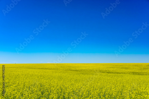 Landscape with the image of a field