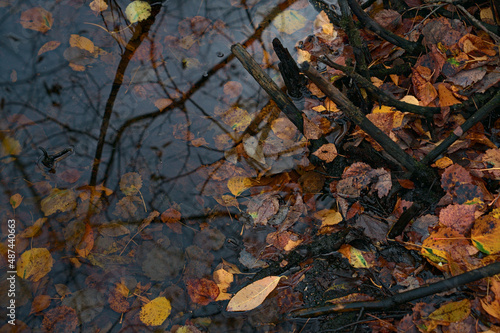 Wallpaper Mural _DSC20211021F10 Torontodigital.ca