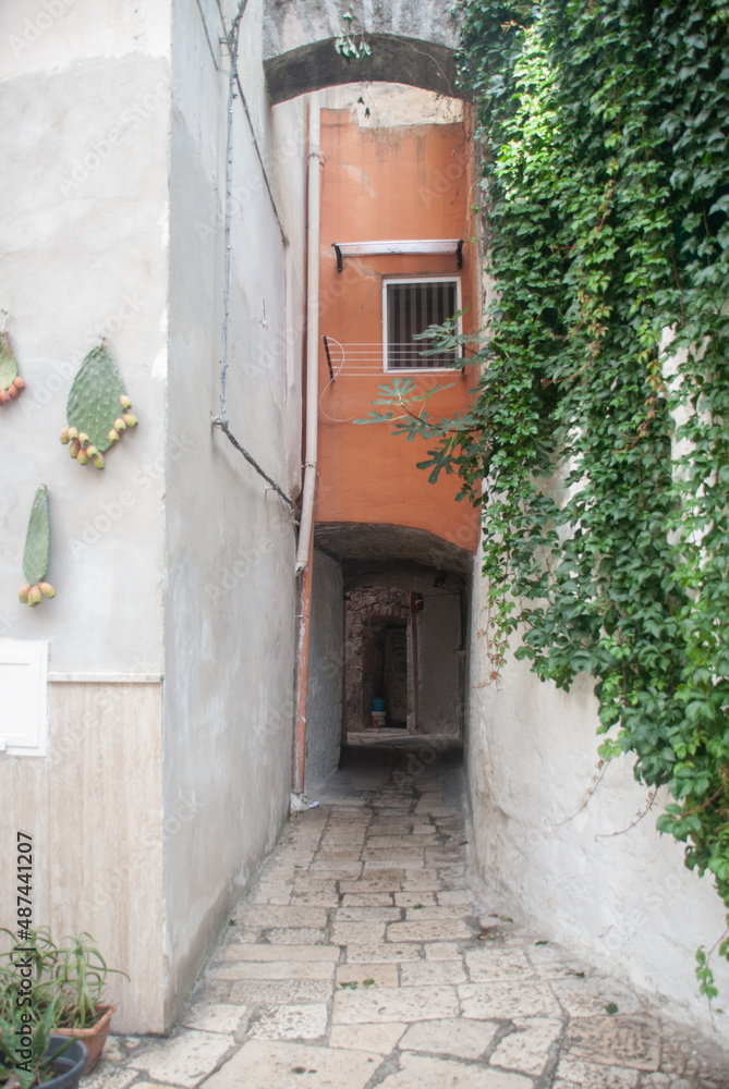 Bari Vecchia, vicolo con arco Corte S. Triggiano,  con foglie cactus appesi e fichi d'india, Bari, Puglia, Italia