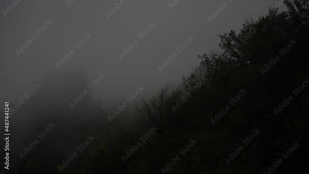 forest in the mountains with a flying cloud formed a thick fog. Foggy and rainy weather in summer mountains. forest in the mountains with a flying cloud formed a thick fog. Foggy and rainy weather in summer mountains.