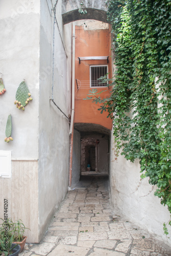 Bari Vecchia, vicolo con arco Corte S. Triggiano,  con foglie cactus appesi e fichi d'india, Bari, Puglia, Italia © Pépinot