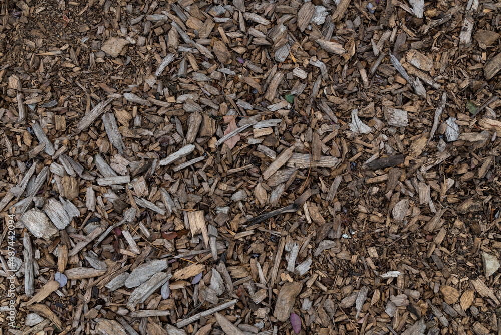 Wood chips background on the ground.