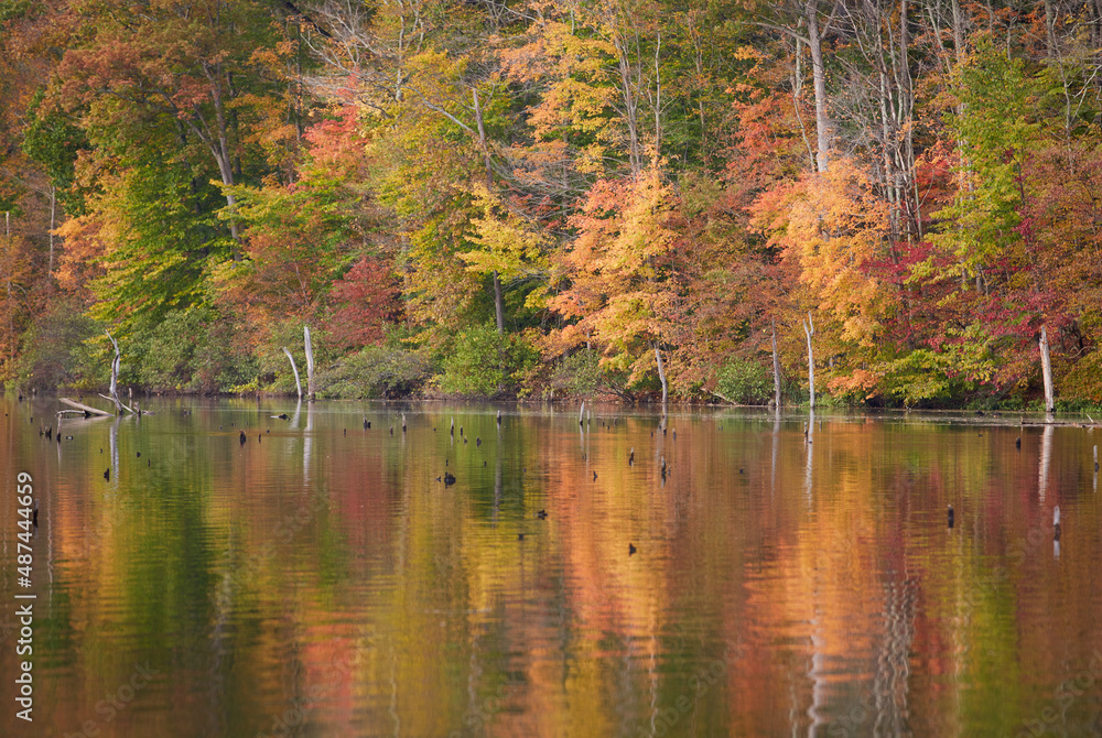 Hiking Around a Lake in New Jersey during Autumn observing the Fall Foliage and reflections in the water