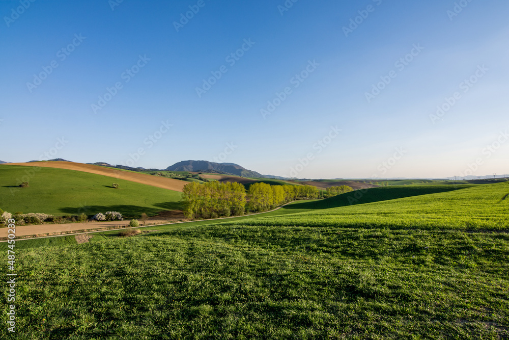 field and blue sky, spring, Turiec, Slovakia, Europa