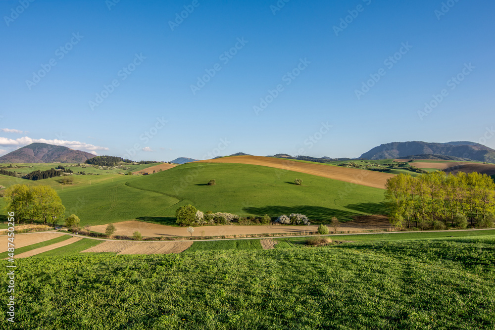 landscape with green fields and blue sky, spring, Turiec, Slovakia, Europa