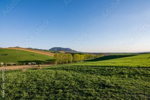 field and blue sky  spring  Turiec  Slovakia  Europa