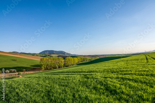 landscape with field and sky  spring  Turiec  Slovakia  Europa