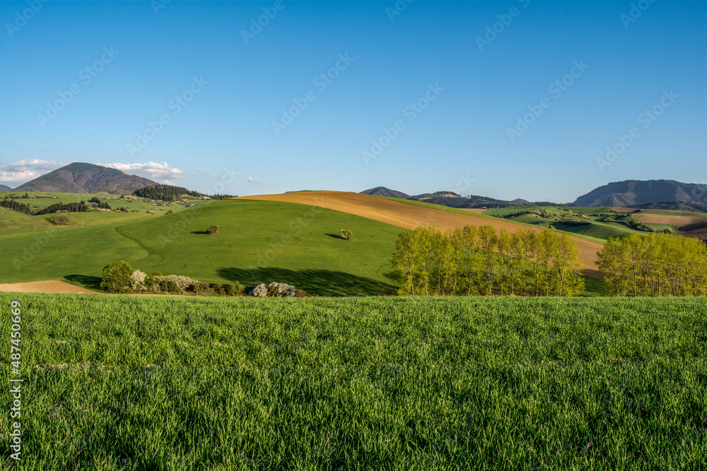landscape with green grass and sky, spring, Turiec, Slovakia, Europa