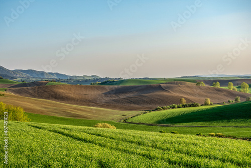 landscape with green field and sky, spring, Turiec, Slovakia, Europa