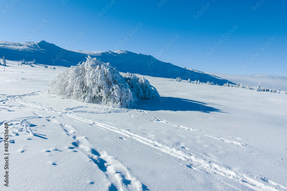 Amazing Winter landscape of Vitosha Mountain, Bulgaria