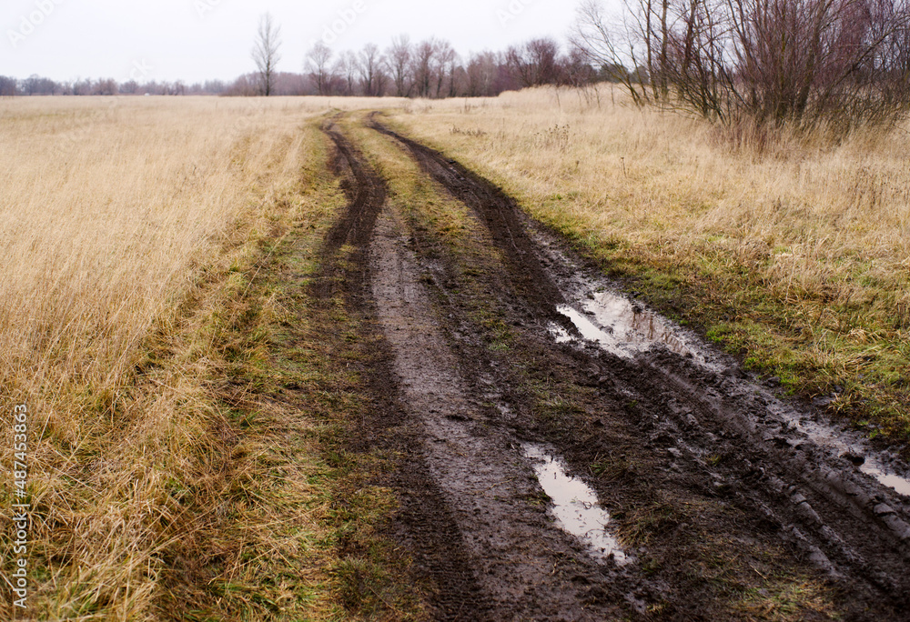 Road with muddy puddles in spring field after rain. Autumn or spring background.