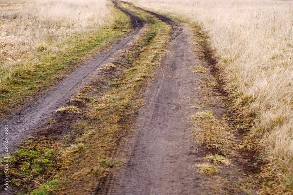 Road among dry yellow grass in spring field after rain. Autumn or spring background. Road among dry yellow grass in spring field after rain. Autumn or spring background.