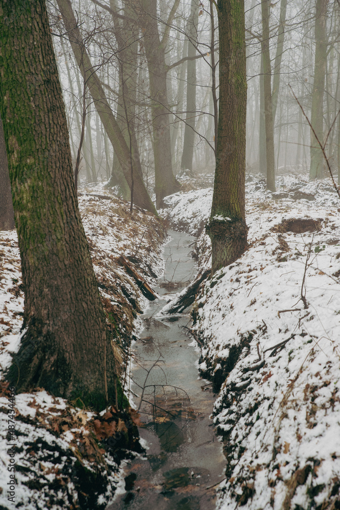 stream in forest with deep fog and snow, low visibility