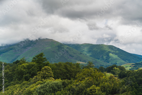 some mountains covered by clouds and in the foreground a large grove on a cloudy day