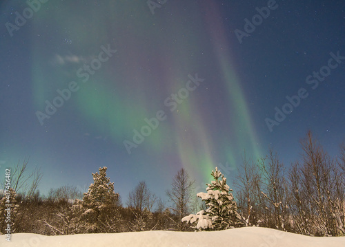 Nordlichter in der Arktis