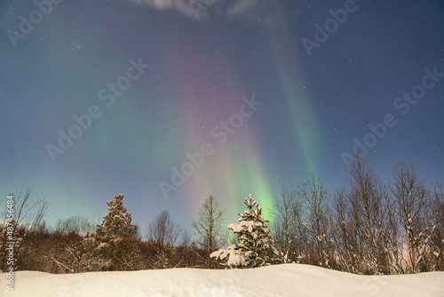 Nordlichter in der Arktis