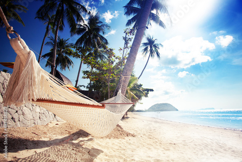 summer holidays relax tropical background photo