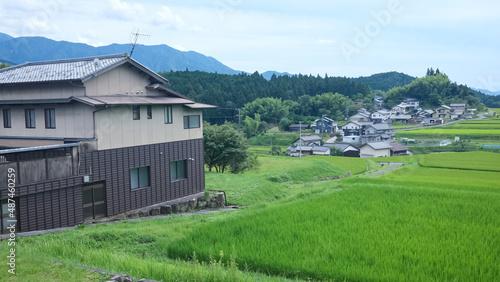 Beautiful scenic country house and green paddy fields, rice field landscape at Gifu, Japan