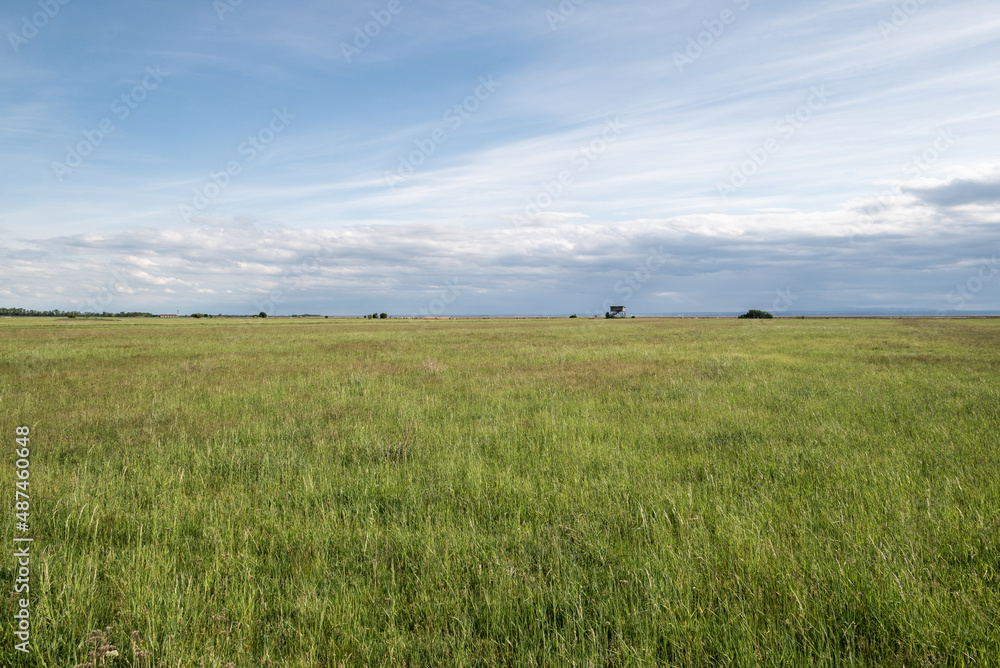 Endlose Weite einer Steppenlandschaft