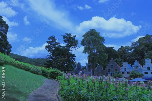 blue sky and Clouds, trees, glass​ and​ flower​s