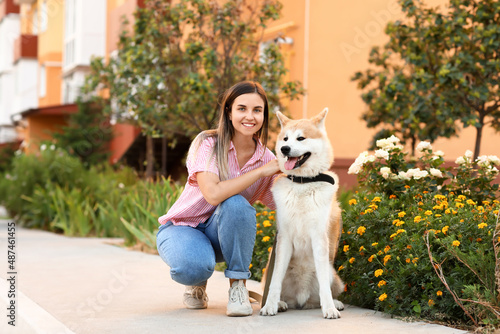 Cute Akita Inu dog with own...