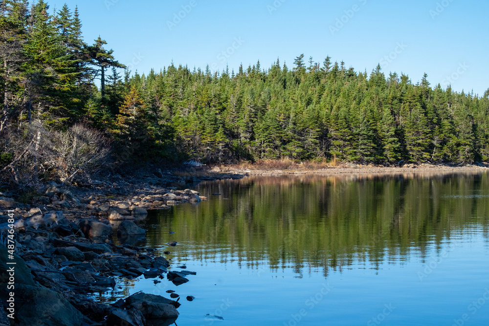Obraz premium A wide river with smooth blue water. There are luscious green trees along the riverbank. The sky is blue with white fluffy clouds. The calm and peaceful pond water is reflecting the sky and trees.