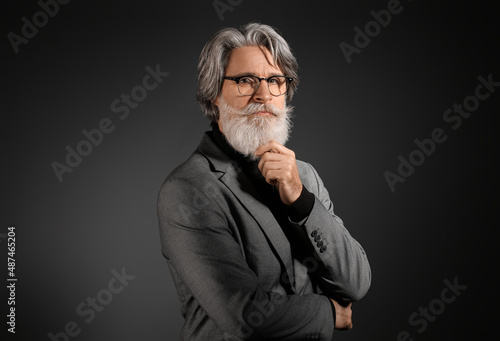 Portrait of handsome mature...