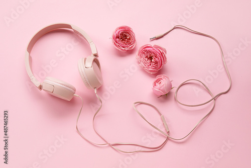 Modern headphones and rose flowers on pink background
