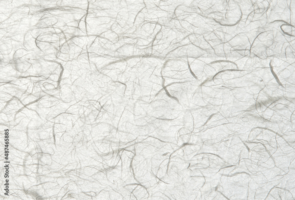 Obraz premium 和紙のテクスチャ(白)