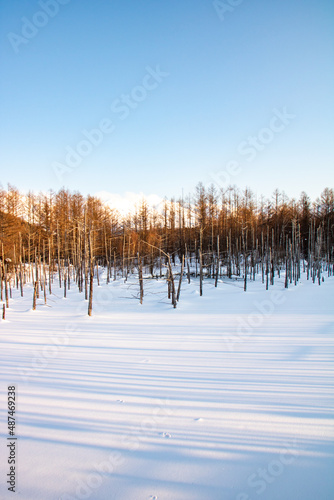 Wallpaper Mural 雪に覆われた青い池
 Torontodigital.ca