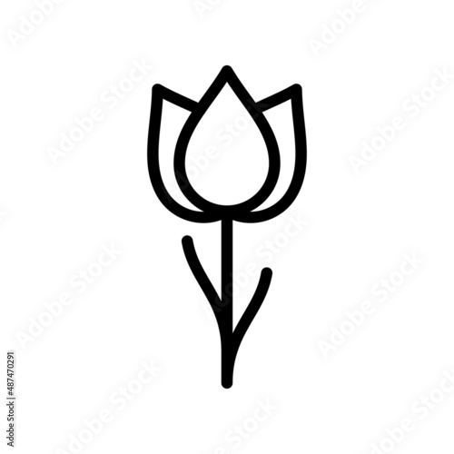 tulip icon, vector line style