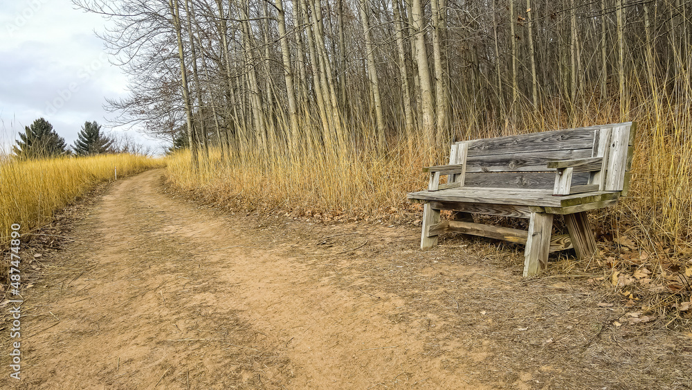A weathered bench on the hiking trail next to tall grass and trees.