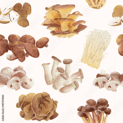Set of edible mushroom seamless wallpaper. background, vintage watercolor. Vector illustration