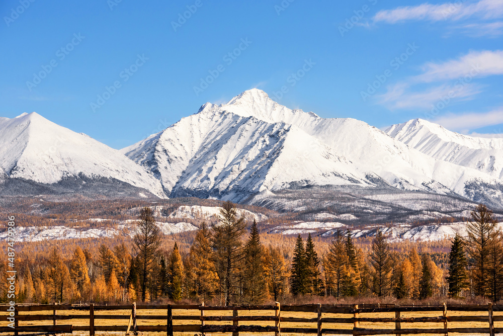Beautiful mountain autumn landscape. Mountain peaks in the snow. In the foreground is a wooden fence, in the distance a forest. Sayany mountain range in Buryatia.