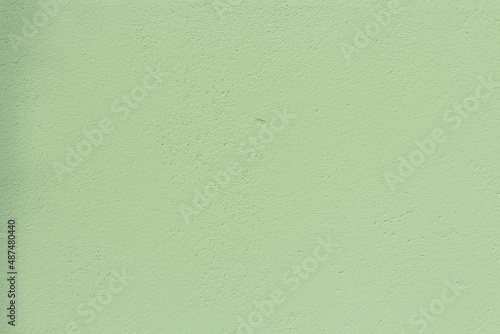 Light green horizontal background for copy space. 