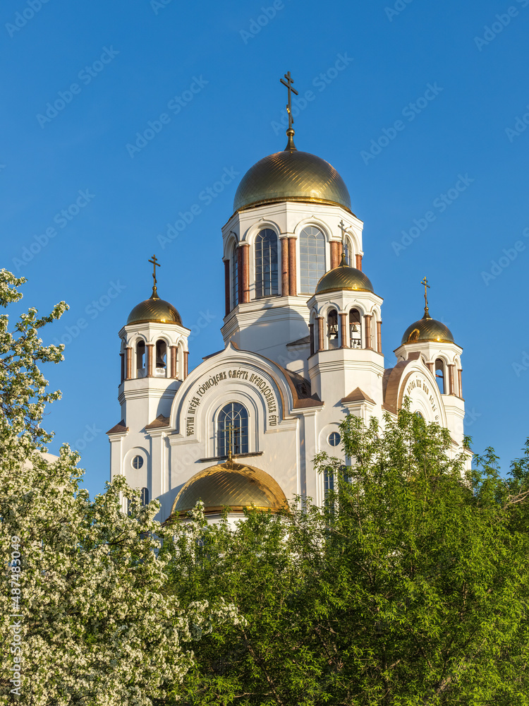 Blooming apple tree against the background of the Orthodox Church and blue clear sky. Yekaterinburg, Russia