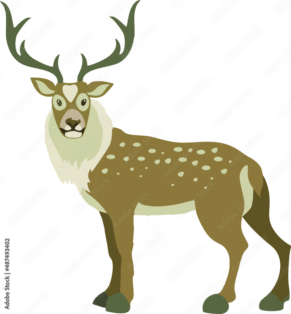 Fototapeta premium deer,cartoon,animal,horns,pet